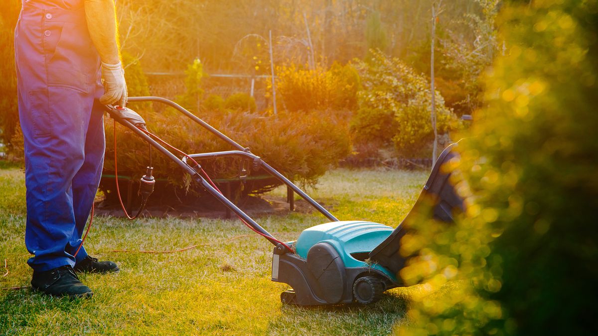 Lawn dethatching