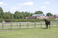 2-The-fields-e1443443258556.jpg