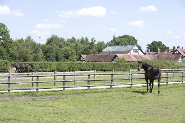 2-The-fields-e1443443258556.jpg