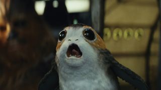 The inquisitive porgs make their lives on the island that Luke Skywalker has secluded himself on, but then find their way onto the Millennium Falcon