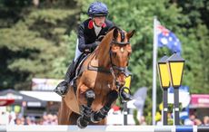 pau cci4 entries