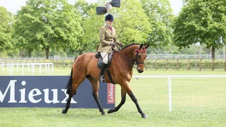 Katie Jerram-Hunnable and The King's First Receiver at the 2026 Royal Windsor Horse Show.