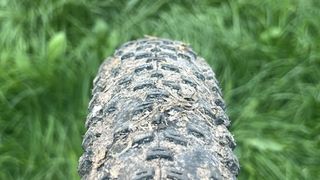 WTB Macro tire showing tread detail