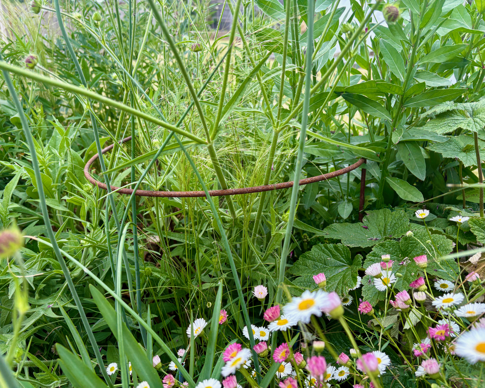 half-round support used in ornamental border