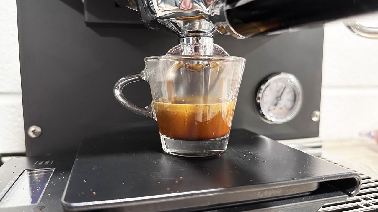 An espresso shot being poured by the Diletta Mio