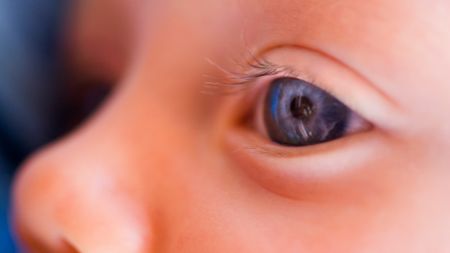 A close-up of a baby's eye and nose. The eye is blue. 