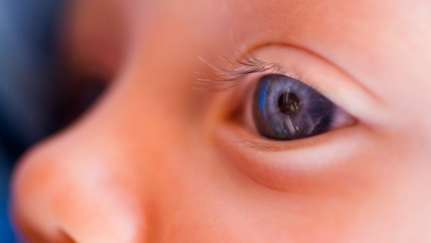 A close-up of a baby&#039;s eye and nose. The eye is blue. 