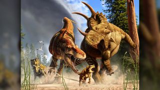 In this artist's depiction of life 77 million years ago in Alberta, Canada, the tyrannosaur Daspletosaurus hunts a young horned Spinops. An adult Spinops tries to interfere, and a Coronosaurus watches from a distance.
