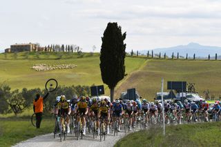 SIENA ITALY MARCH 06 The Peloton passing through Tuscany landscape during the Eroica 15th Strade Bianche 2021 Mens Elite a 184km race from Siena to Siena Piazza del Campo Gravel Strokes Sheep StradeBianche on March 06 2021 in Siena Italy Photo by Tim de WaeleGetty Images
