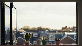 bifold window on upper floor open with 3 cacti on shelf and view across street of houses