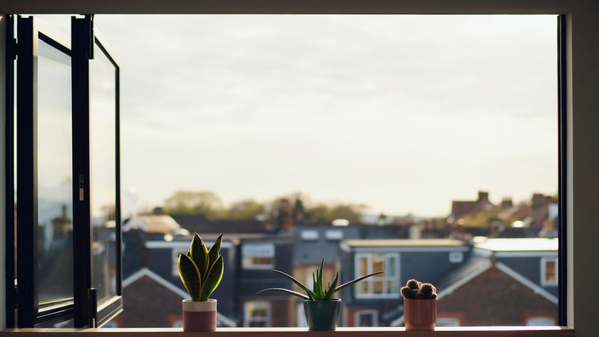 bifold window on upper floor open with 3 cacti on shelf and view across street of houses