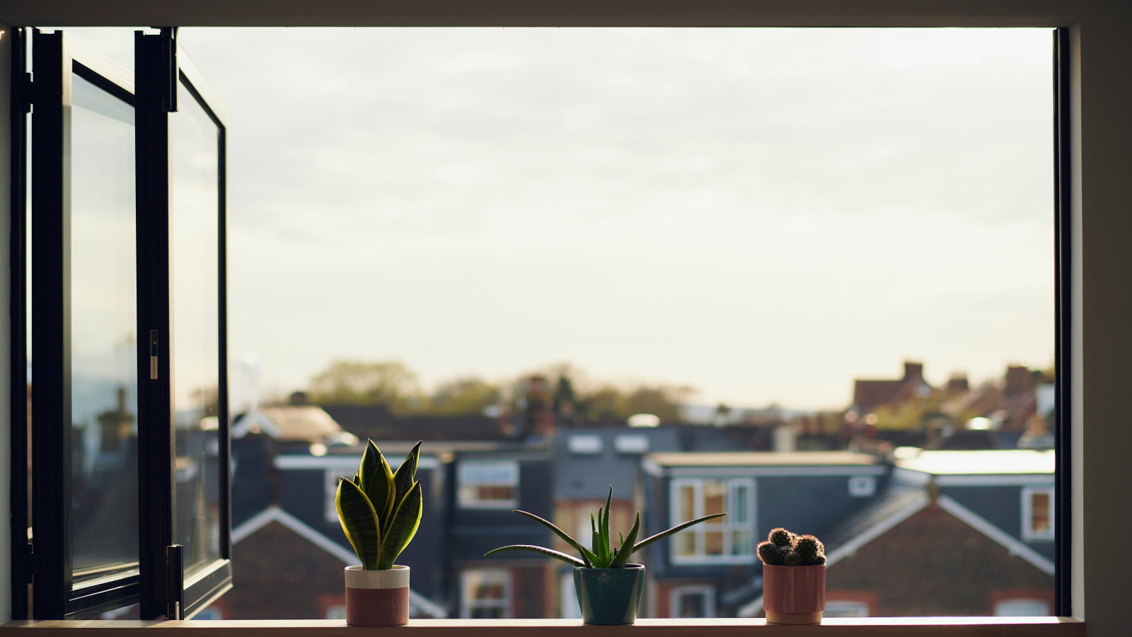 bifold window on upper floor open with 3 cacti on shelf and view across street of houses