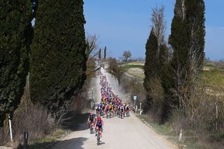 SIENA ITALY MARCH 08 LR Franziska Braube of Germany and Team CERATIZIT Pro Cycling Team and Virginia Bortoli of Italy and Team Top Girls Fassa Bortolo are chased by the peloton during the 11st Strade Bianche 2025 Womens Elite a 136km one day race from Siena to Siena 320m UCIWWT on March 08 2025 in Siena Italy Photo by Dario BelingheriGetty Images