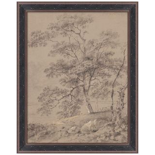 Scene Study With Tree Framed Print