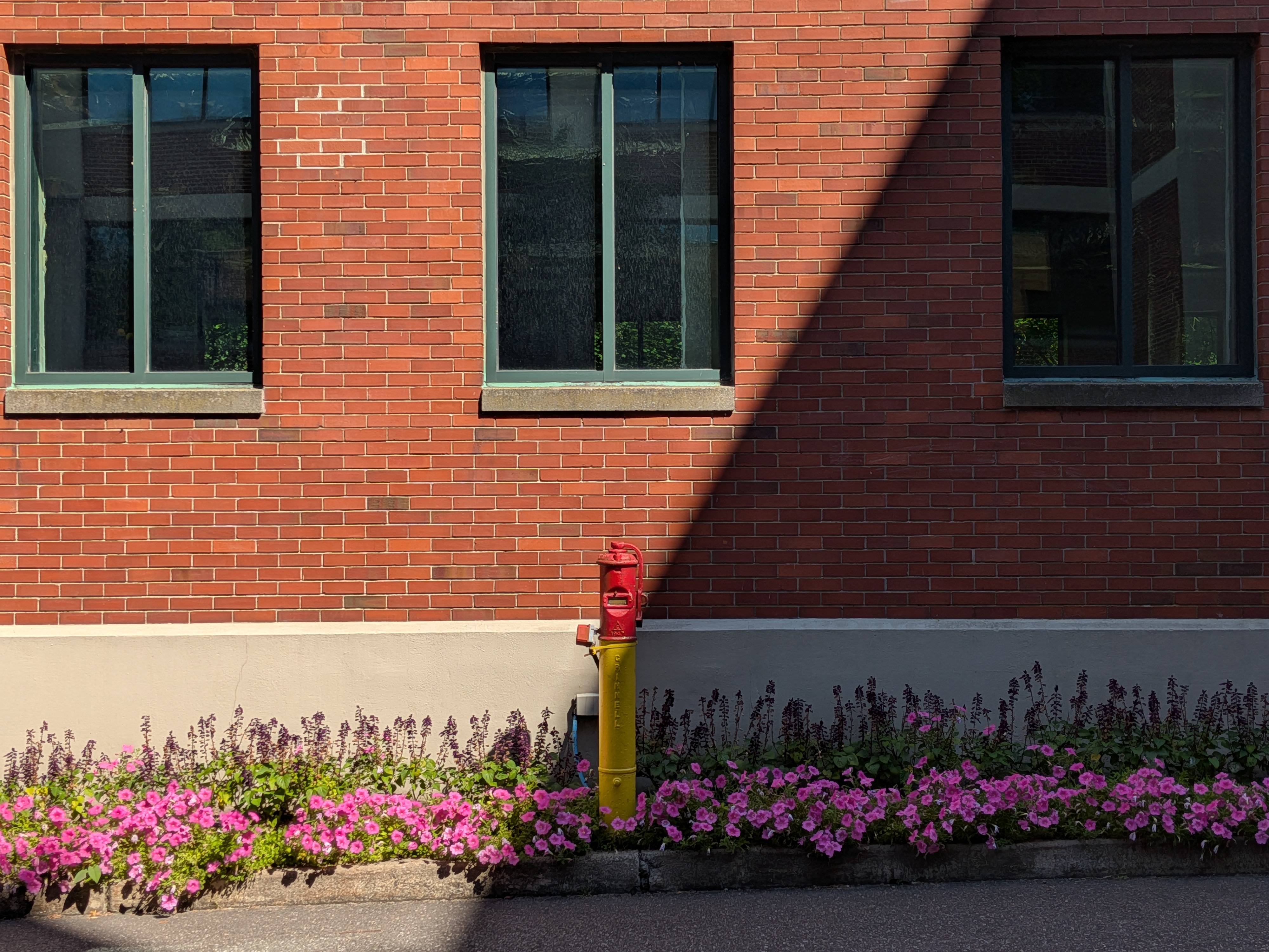 Google Pixel 10 camera image samples