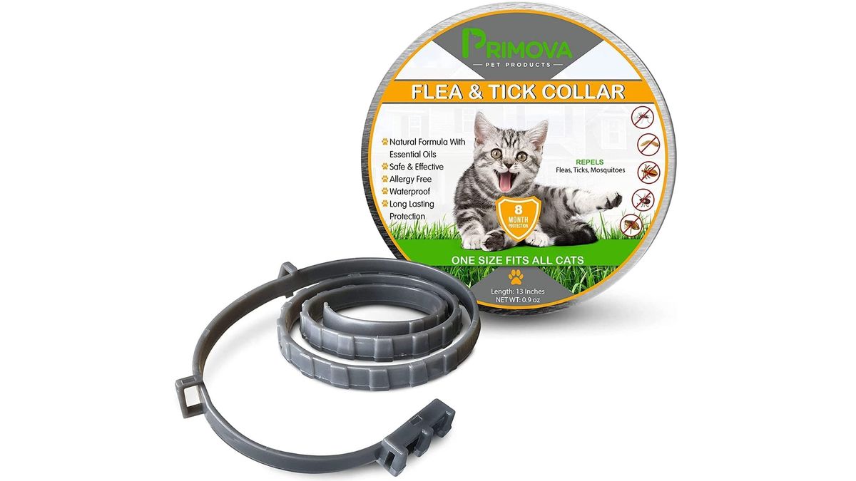 Do Flea Collars Work For Ear Mites at Joseph McClure blog