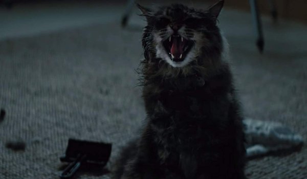 Pet Sematary Church hissing in the bedroom