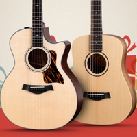 Get One, Gift One: Get a Taylor BT-1 for only $99