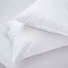 Dusk Feels Like Down Medium Pillow