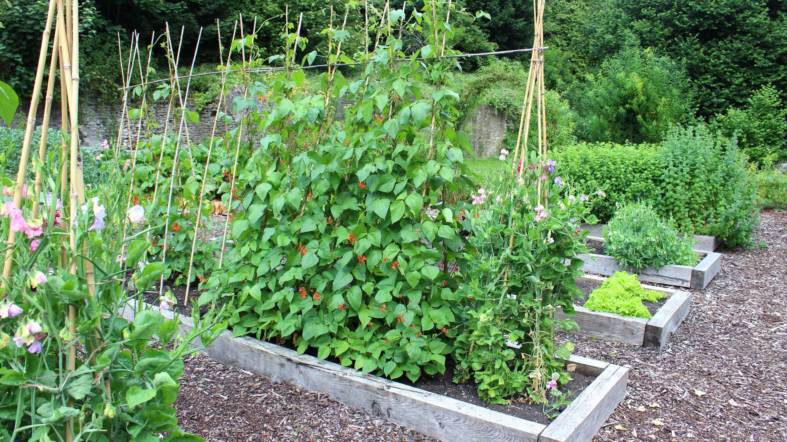 This $40 Japanese Tool Replaces Half the Kit I Use in My Garden – It Weeds, Tills, and Plants