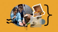 Photo collage of a couple at a petting zoo, a box of citrus and marmalade from Marmalade Grove, and a woman lighting a Maison & Muse candle