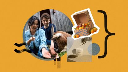 Photo collage of a couple at a petting zoo, a box of citrus and marmalade from Marmalade Grove, and a woman lighting a Maison & Muse candle