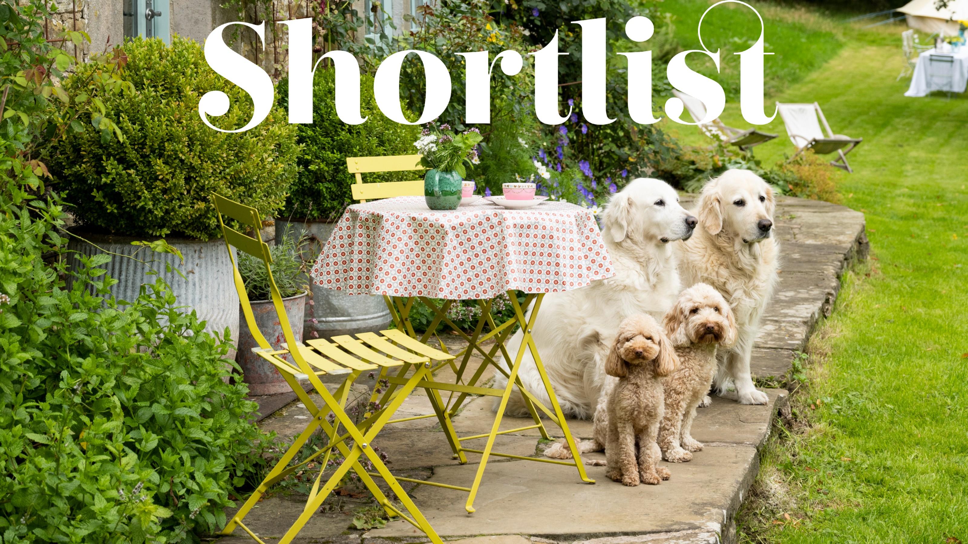 A garden with a bright yellow bistro set with a polka dot tablecloth surrounded by four dogs