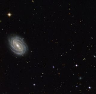 Spiral Galaxy PGC 54493