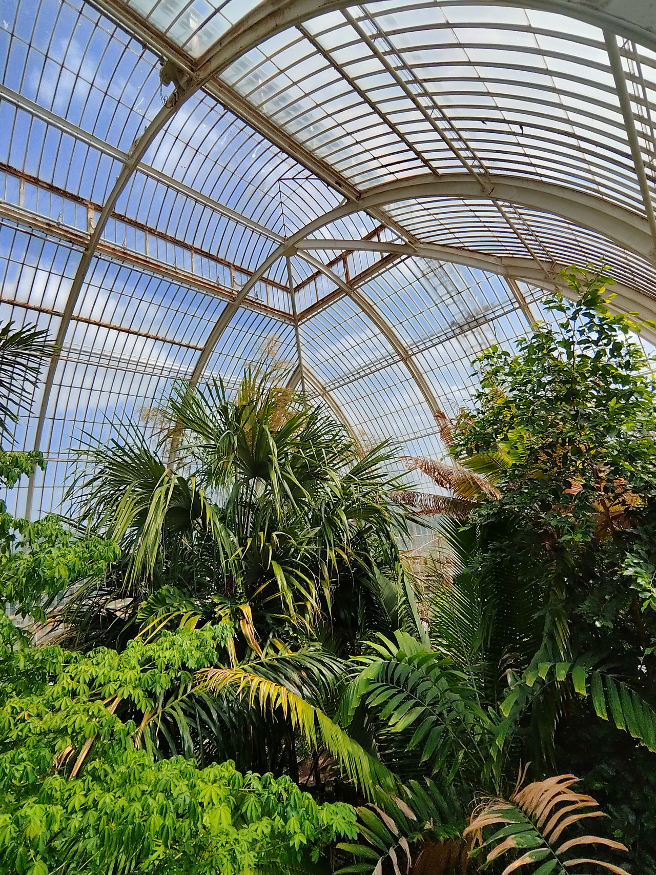 Sample image taken at Kew Gardens using the Rokid AI Glasses Style
