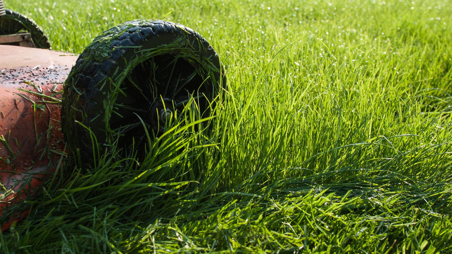 Lawnmower cutting grass