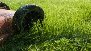 Lawnmower cutting thrugh wet grass