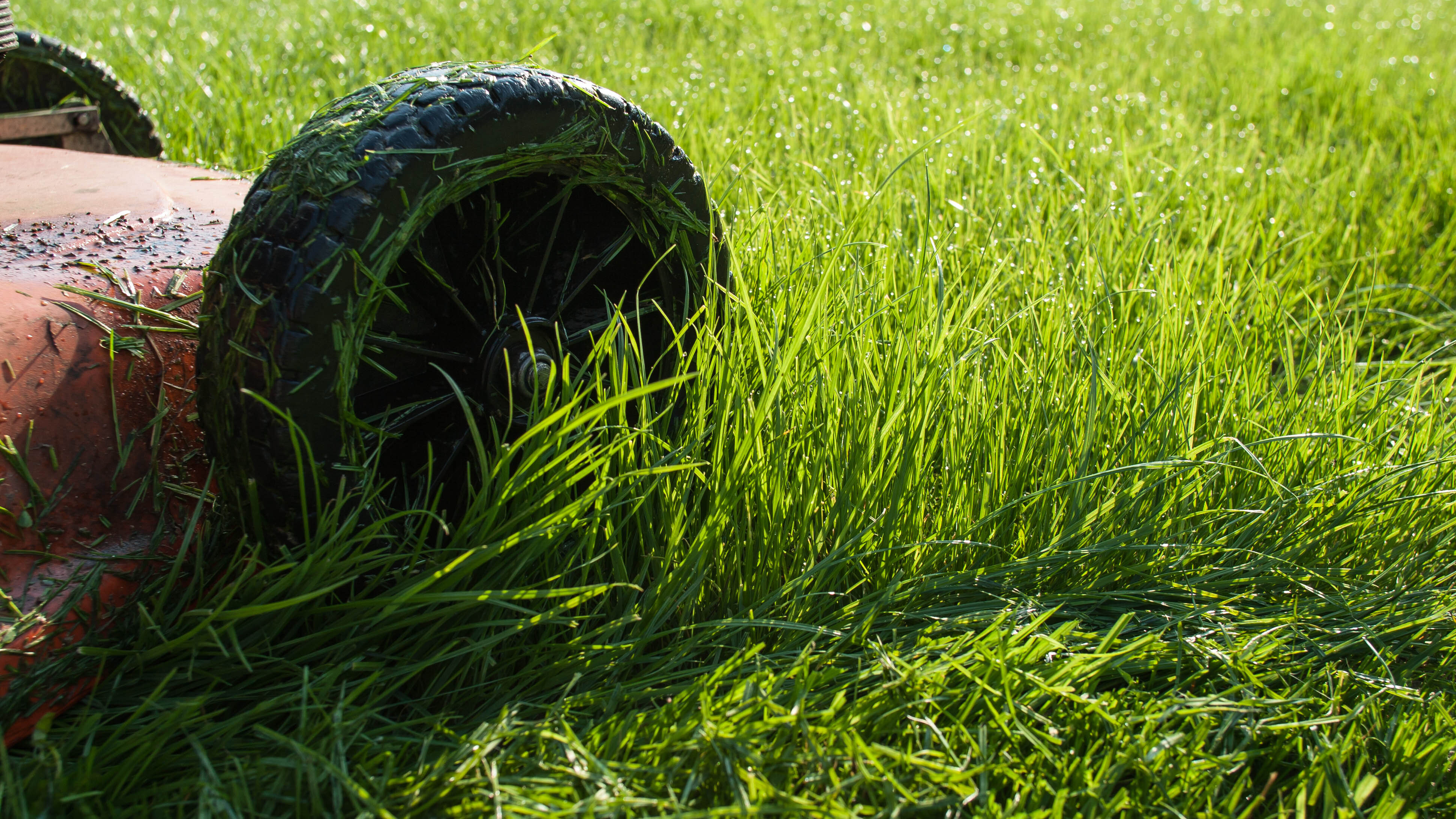 Газонокосилка косит мокрую траву