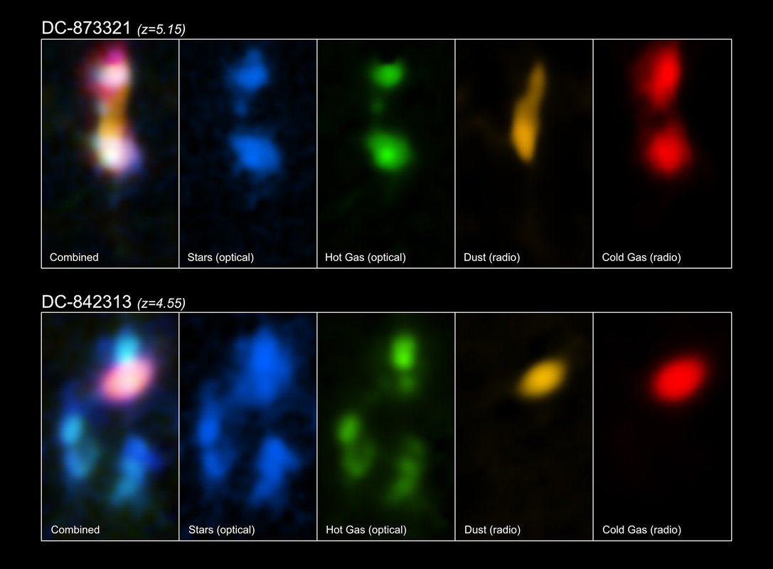 The early galaxies DC-873321 and DC-842313, part of a sample of 18 galaxies found to be chemically and structurally mature