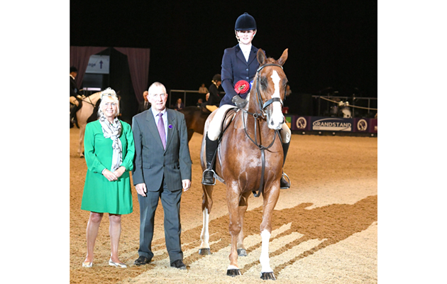 HOYS 05 10 2018