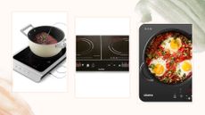 compilation of best portable induction hobs