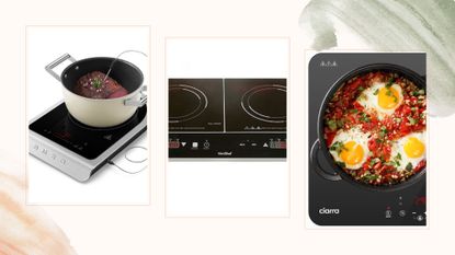 compilation of best portable induction hobs