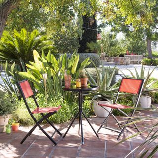 foliage plants: tropical patio and bistro set