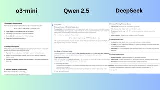 o3-mini vs Qwen 2.5 vs DeepSeek (3)