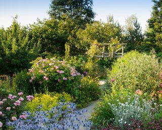 RHS Rosemoor cottage garden