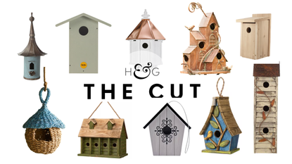 the cut beautiful bird houses