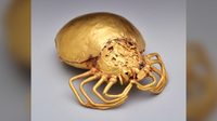 a spider ornament cast in gold