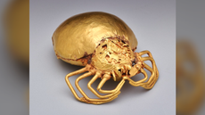 a spider ornament cast in gold