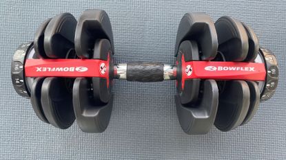 Bowflex discount rubber dumbbells