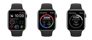 The Cronometer Apple Watch app provides users with the ease of tracking from the comfort of their own wrist. (CNW Group/Cronometer)