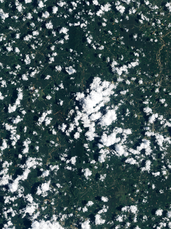 Multiple landslides in Thailand.