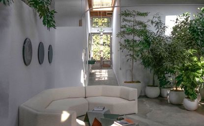 Indoor zen garden with plants in stone containers
