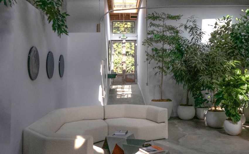 How To Create An Indoor Zen Garden - Make Your Home Peaceful | Livingetc