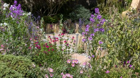 The Lady Garden Foundation &lsquo;Silent No More&rsquo; Garden at the RHS Chelsea Flower Show 2026