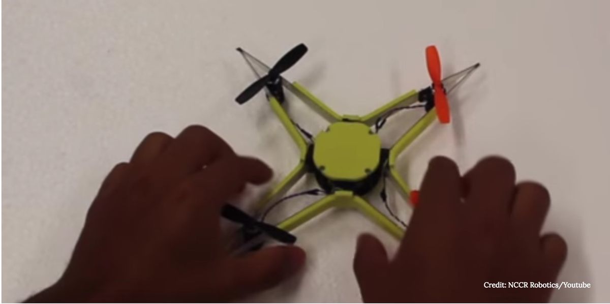 animal-inspired technology drone