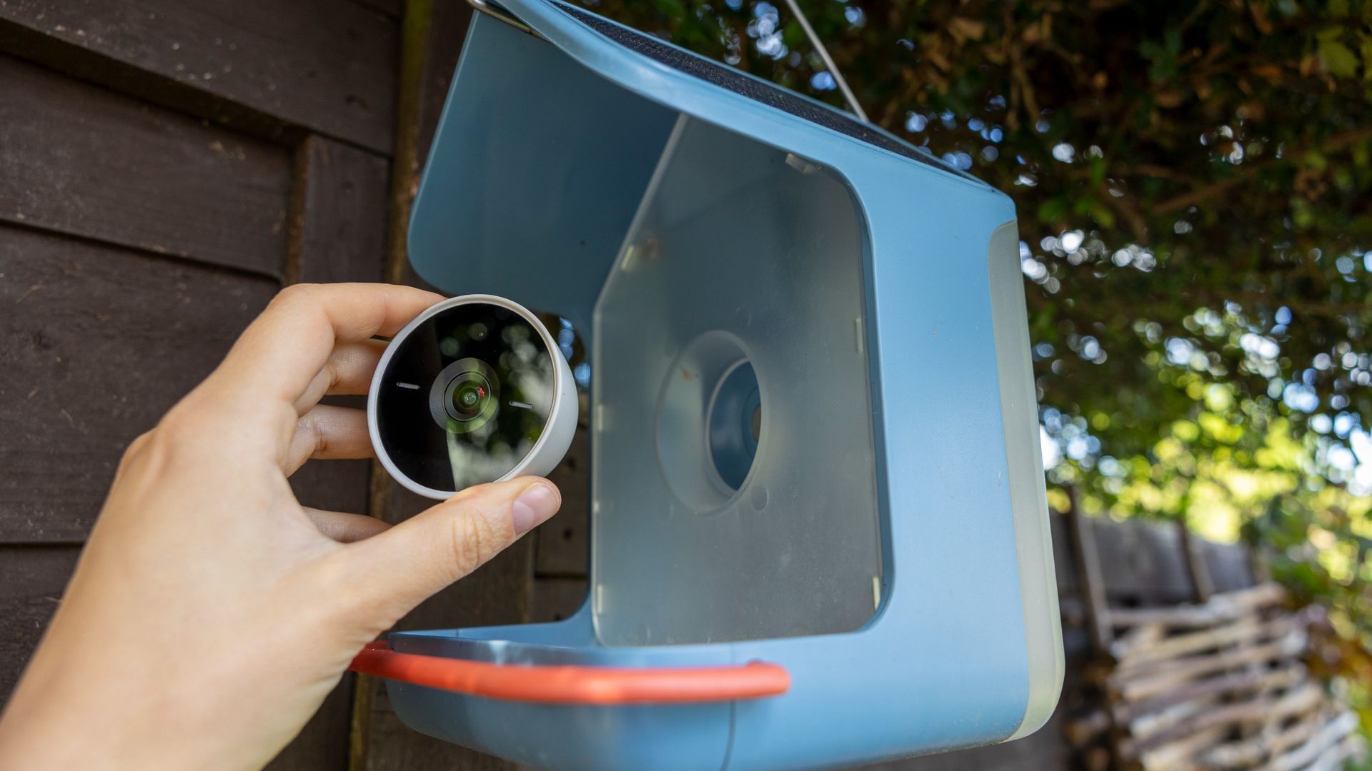 Una mujer rota la cámara magnética del Bird Buddy 2
